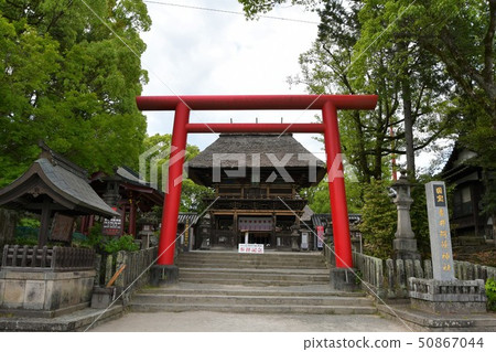 Aoi阿蘇神社茅草屋頂國寶 50867044