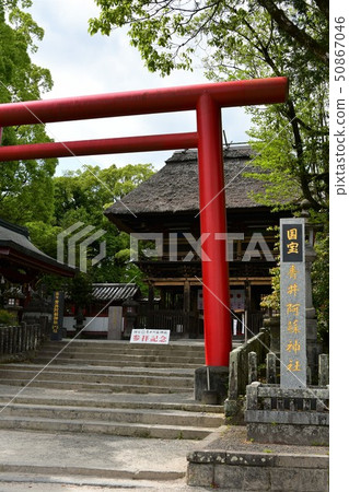 Aoi阿蘇神社茅草屋頂國寶 Aoi阿蘇神社茅草屋頂國寶 50867046