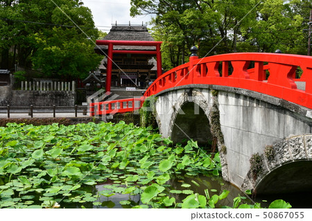 Aoi阿蘇神社茅草屋頂國寶 50867055