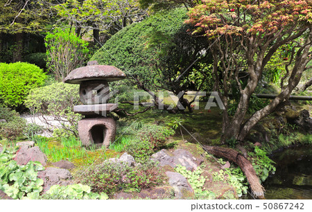 Stone lantern, Hokokuji temple, Kamakura, Japan 50867242