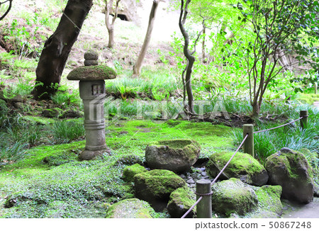 Stone lantern, Hokokuji temple, Kamakura, Japan 50867248