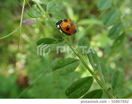 Beautiful Reiki In the light and the wind 5 Beautiful Reiki In the light and the wind 5 50867892