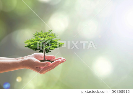 Arbor day with tree planting volunteering to save  50868915