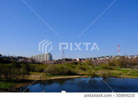 千葉縣長og川水上公園船橋 50869220