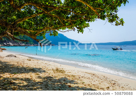 Turtle Beach, Perhentian Islands, Terengganu, 50870088