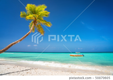 Sunny tropical beach in dominican republic 50870605