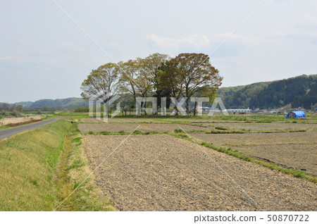 Takatsuki of Tokyo 50870722