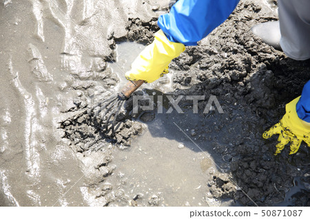 Young woman enjoying the sea bream hunting 50871087