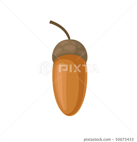 Acorn in a hat. Vector illustration on white background. 50873433