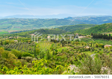 Beautiful spring froggy landscape in Tuscany Beautiful spring froggy landscape in Tuscany 50876031