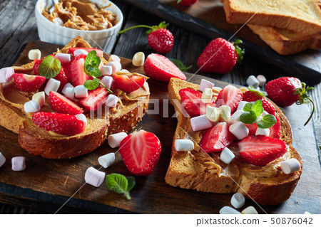 close-up of open sandwiches of toasted bread close-up of open sandwiches of toasted bread 50876042