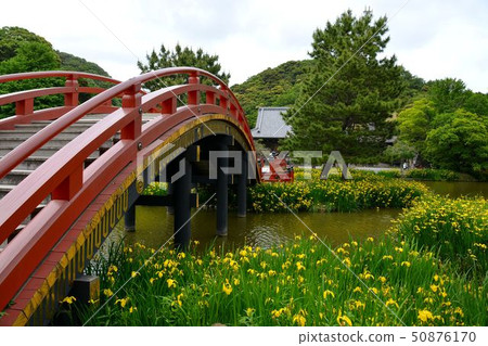 金澤石梅寺在初夏的歷史遺跡風景 50876170