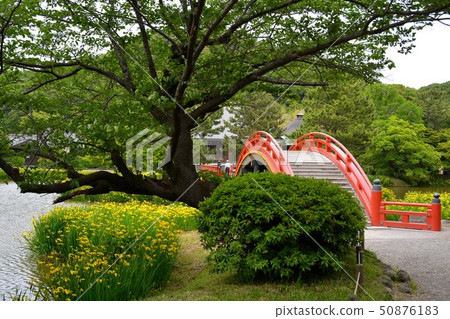 金澤石梅寺在初夏的歷史遺跡風景 50876183