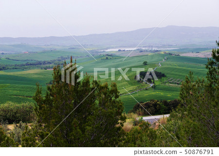 Beautiful spring evening froggy landscape in Tuscany 50876791
