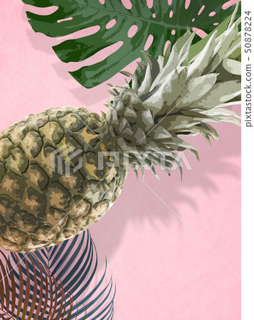 Background-Tropical-Monstera-Pineapple-Palm-Pink Background-Tropical-Monstera-Pineapple-Palm-Pink 50878224