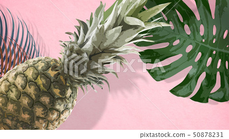 Background-Tropical-Monstera-Pineapple-Palm-Pink 50878231