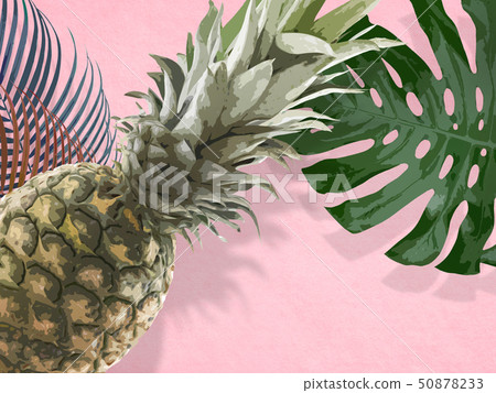 Background-Tropical-Monstera-Pineapple-Palm-Pink 50878233