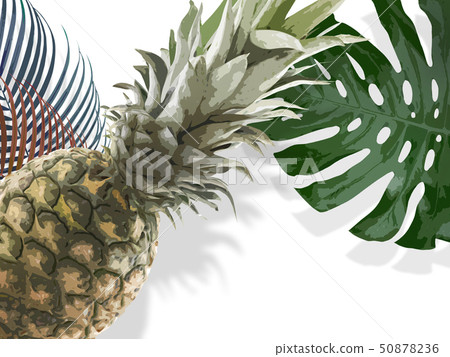 Background-Tropical-Monstera-Pineapple-Palm 50878236