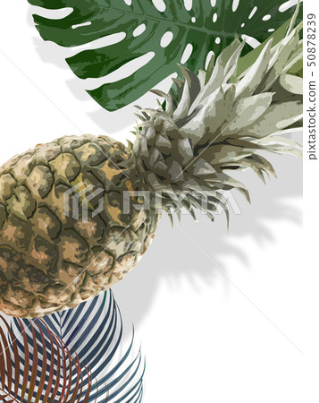 Background-Tropical-Monstera-Pineapple-Palm 50878239