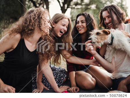 A group of young friends with a dog sitting on grass on a roadtrip through countryside. A group of young friends with a dog sitting on grass on a roadtrip through countryside. 50878624