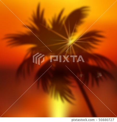 Summer background with palm tree and sunset.... - Stock Illustration ...