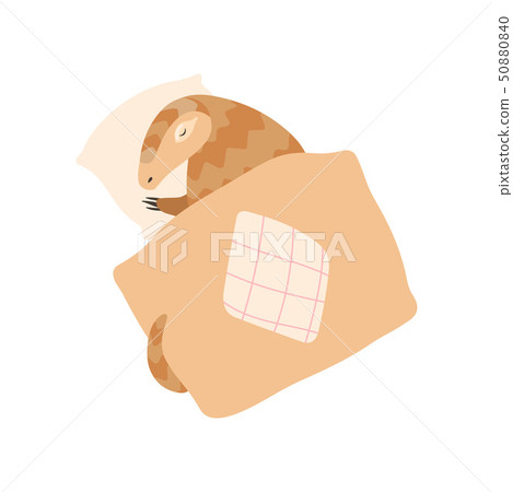 Cute Pangolin Cartoon Character Sleeping in His Bed, Rare Species of Animals Vector Illustration 50880840
