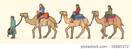 Cameleer with camels cartoon graphic vector 50885372