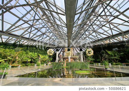 botanical garden, korea, korean 50886621