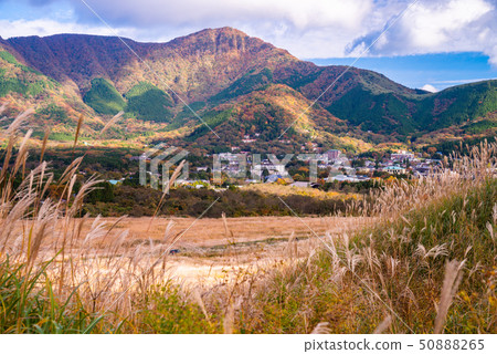 （神奈川縣）箱根仙石原高原薄野原 50888265