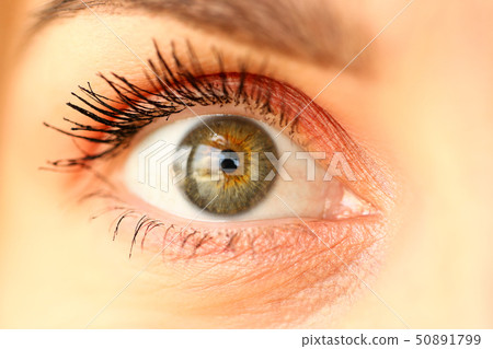 Closeup of amazing female green coloured right eye Closeup of amazing female green coloured right eye 50891799