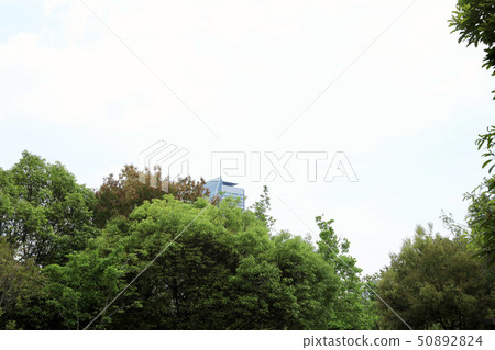 Noritake Forest（愛知縣） 50892824