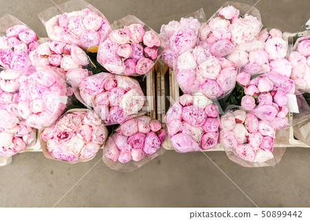 Warehouse refrigerator, Wholesale flowers for flower shops. Pink peonies in a plastic container or 50899442