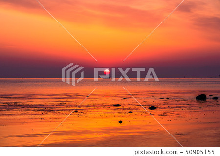 《富山縣》天原海岸黎明/自然景觀 50905155