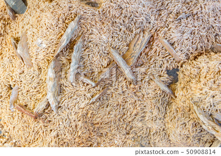 natural background - feldspar crystals 50908814