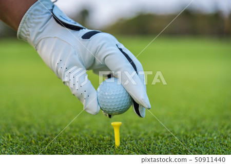 A golfer glove hand putting golf ball on tee A golfer glove hand putting golf ball on tee 50911440