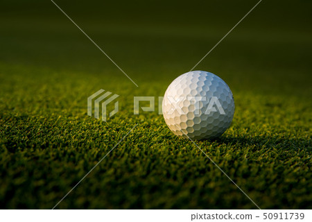 Golf ball putting on green grass near hole golf Golf ball putting on green grass near hole golf 50911739