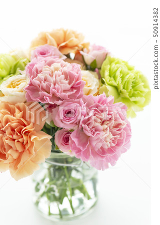 Mother's Day Carnation Mother's Day Carnation 50914382