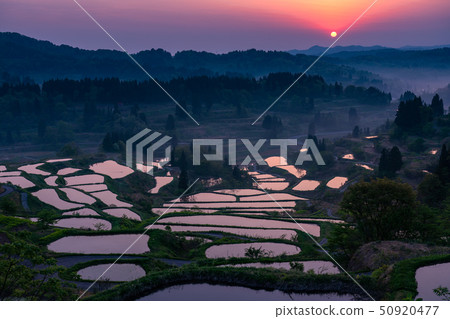 《Niigata Prefecture》 Terraced rice fields and natural scenery of Hoshitoge 《Niigata Prefecture》 Terraced rice fields and natural scenery of Hoshitoge 50920477