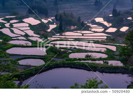 《Niigata Prefecture》 Terraced rice fields and natural scenery of Hoshitoge 《Niigata Prefecture》 Terraced rice fields and natural scenery of Hoshitoge 50920480