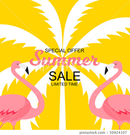 Summer Sale concept with Colorful Cartoon Pink Flamingo Background. Vector Illustration Summer Sale concept with Colorful Cartoon Pink Flamingo Background. Vector Illustration 50924107