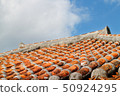琉球紅瓦 50924295