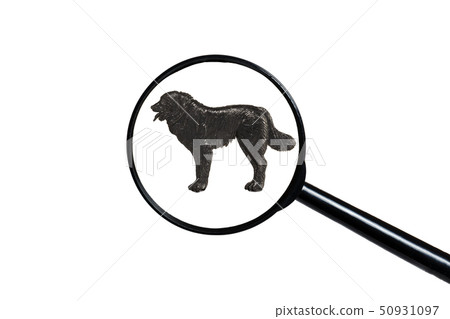 Silhouette of Caucasian Shepherd Dog on white background Silhouette of Caucasian Shepherd Dog on white background 50931097