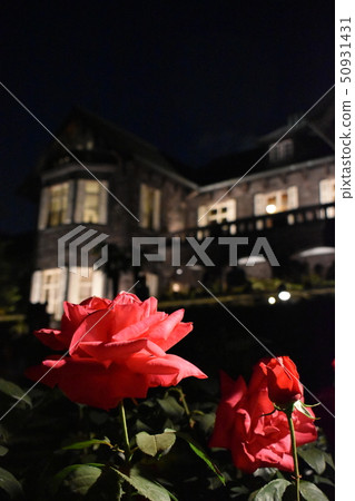 Old Furukawa Garden Rose Garden Light Up 50931431
