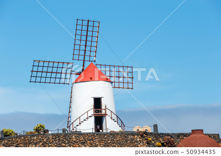 Windmill on blue sky background in cactus garden, 50934435