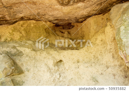 Salt lick or Soil for eating in the forest  50935882