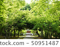 新鮮的綠色寺廟 50951487