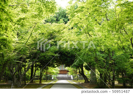 新鮮的綠色寺廟 新鮮的綠色寺廟 50951487