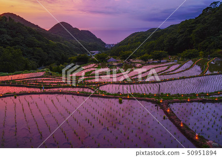 Izu Ishibe的Tanada Matsuzaki Izu Ishibe的Tanada Matsuzaki 50951894