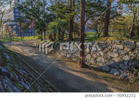 盛岡城堡風景在春天 50952252