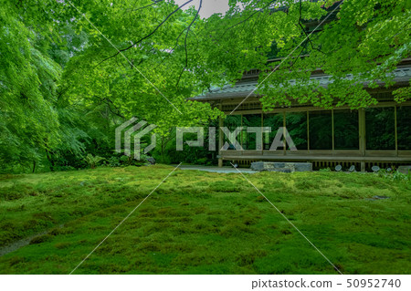 Kyoto Shoko-in Garden Agate Garden Blue Maple 50952740